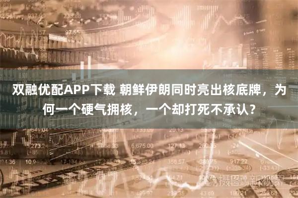 双融优配APP下载 朝鲜伊朗同时亮出核底牌，为何一个硬气拥核，一个却打死不承认？