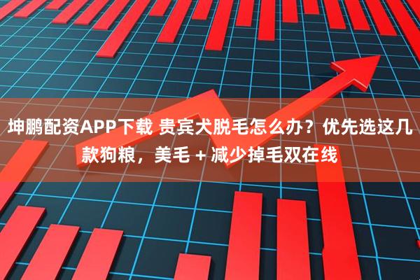 坤鹏配资APP下载 贵宾犬脱毛怎么办？优先选这几款狗粮，美毛 + 减少掉毛双在线