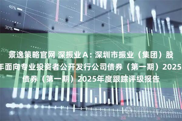 景逸策略官网 深振业Ａ: 深圳市振业（集团）股份有限公司2023年面向专业投资者公开发行公司债券（第一期）2025年度跟踪评级报告