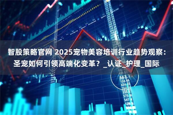 智股策略官网 2025宠物美容培训行业趋势观察：圣宠如何引领高端化变革？_认证_护理_国际