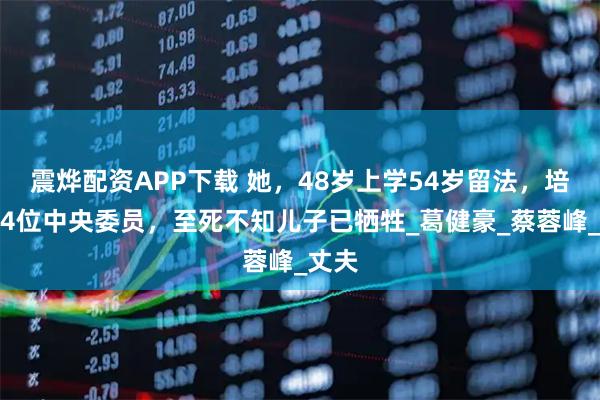 震烨配资APP下载 她，48岁上学54岁留法，培养出4位中央委员，至死不知儿子已牺牲_葛健豪_蔡蓉峰_丈夫