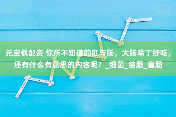 元宝枫配资 你所不知道的肛与肠，大肠除了好吃，还有什么有意思的内容呢？_细菌_结肠_盲肠
