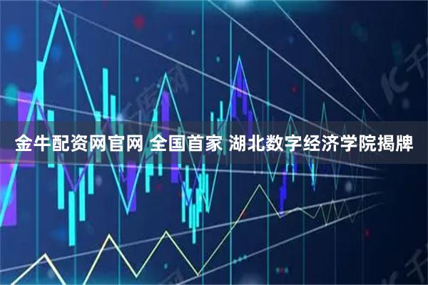 金牛配资网官网 全国首家 湖北数字经济学院揭牌