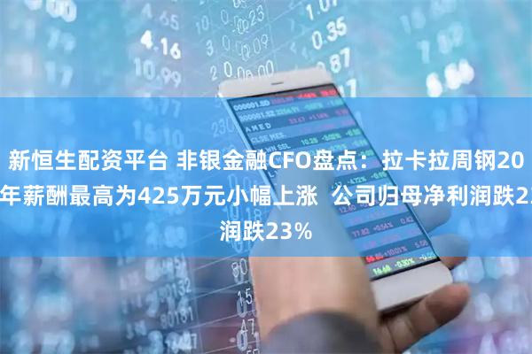 新恒生配资平台 非银金融CFO盘点：拉卡拉周钢2024年薪酬最高为425万元小幅上涨  公司归母净利润跌23%