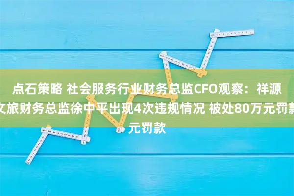 点石策略 社会服务行业财务总监CFO观察：祥源文旅财务总监徐中平出现4次违规情况 被处80万元罚款