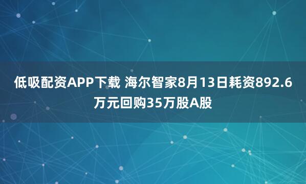 低吸配资APP下载 海尔智家8月13日耗资892.6万元回购35万股A股