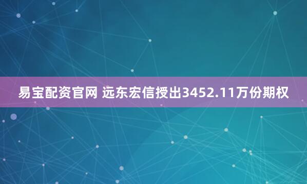 易宝配资官网 远东宏信授出3452.11万份期权